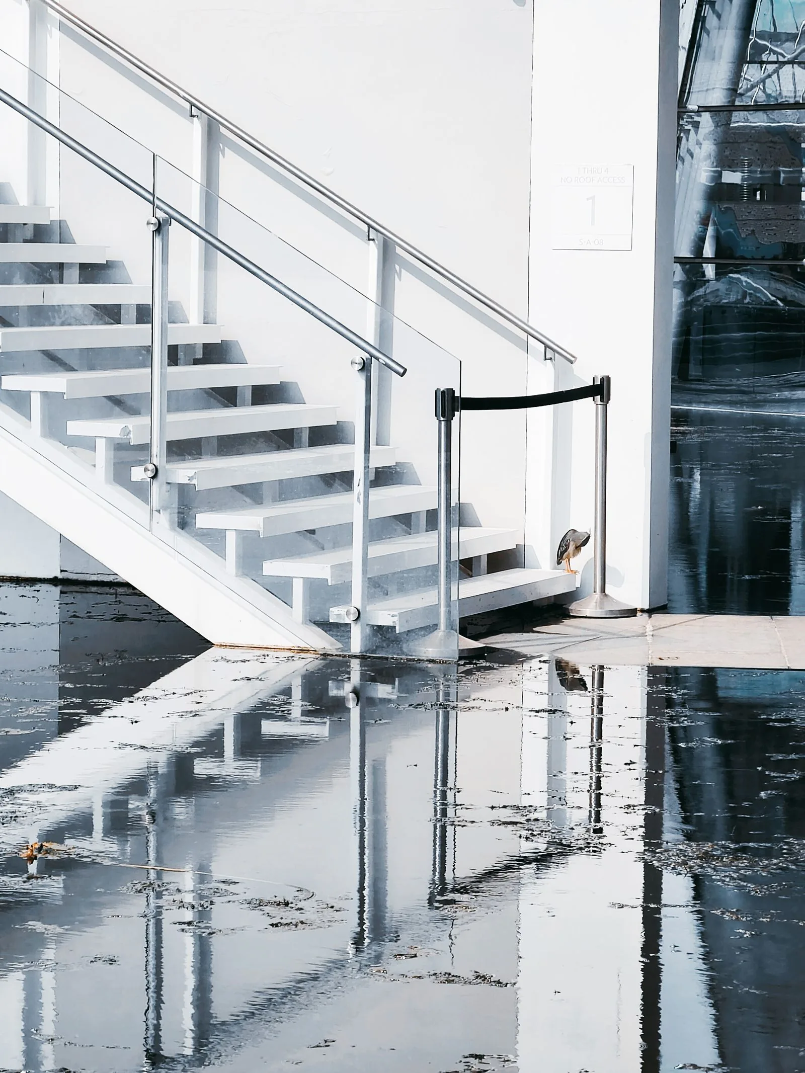 Flooded interior stairwell with standing water reflecting on the surface