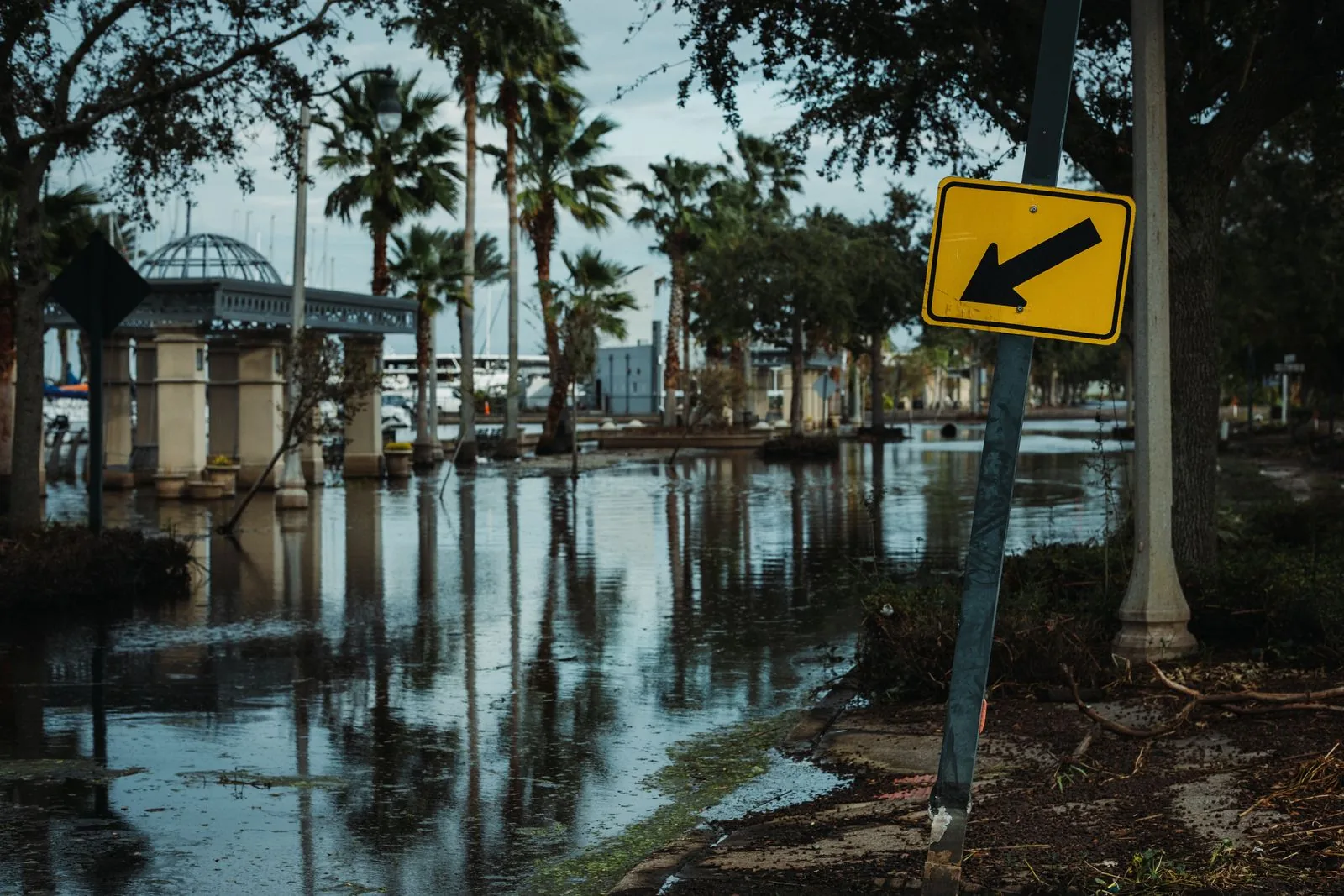 Flooded road lined with palm trees and a leaning traffic sign